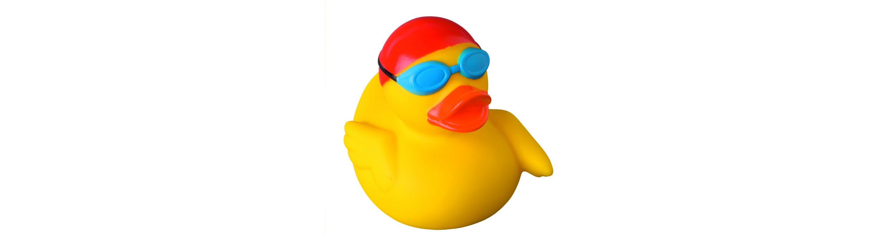 hacker-duck