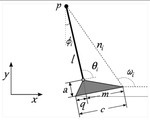 Specimen-specific tibial kinematics model for in vitro gait simulations